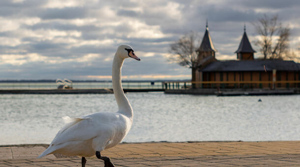 Wellness Hotel Kakadu***superior