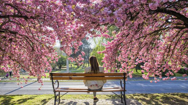 Boni Családi Wellness Hotel