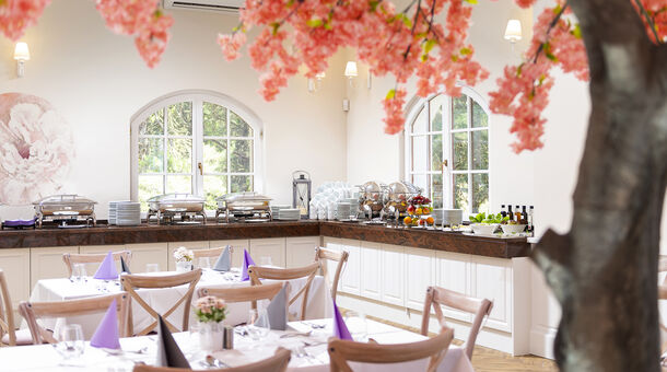 Bodrogi Kúria Wellness Hotel****