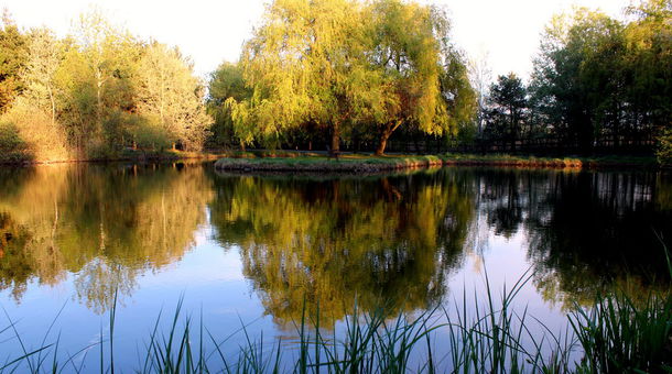 Bodrogi Kúria - Bodrogi Forest Homes