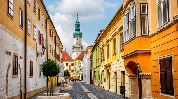 Fagus Hotel Conference & Spa****