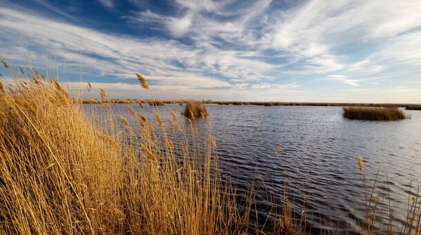 Fagus Hotel Conference & Spa****