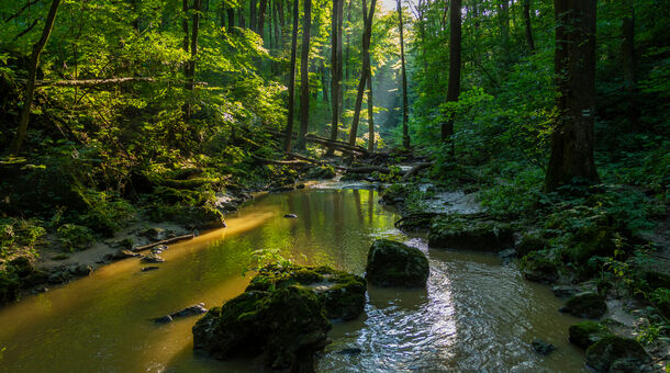 Szarvaskút Vendégházak +16