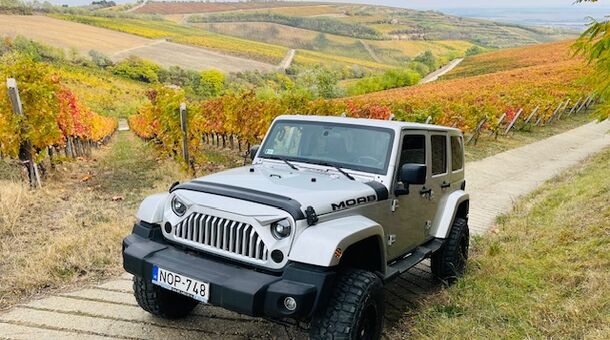 Palkonyha Panzió Speiz