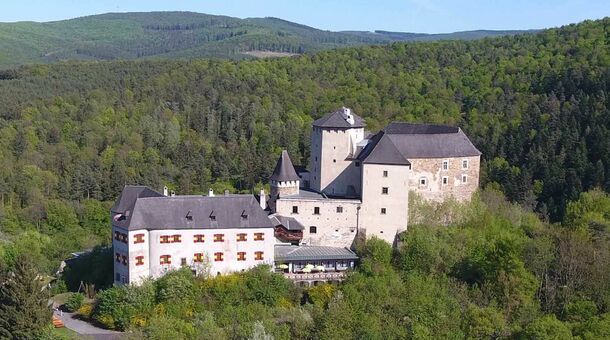 Fogadó a Kóbor Macskához