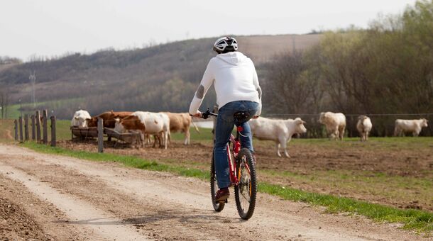 Somogy Kertje Üdülőfalu és Étterem