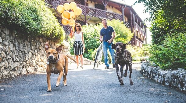 Club Dobogómajor***superior