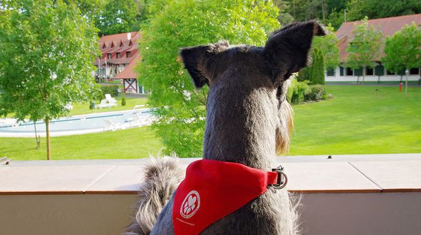 Abbázia Country Club***