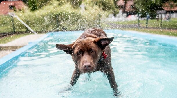 Abbázia Country Club***