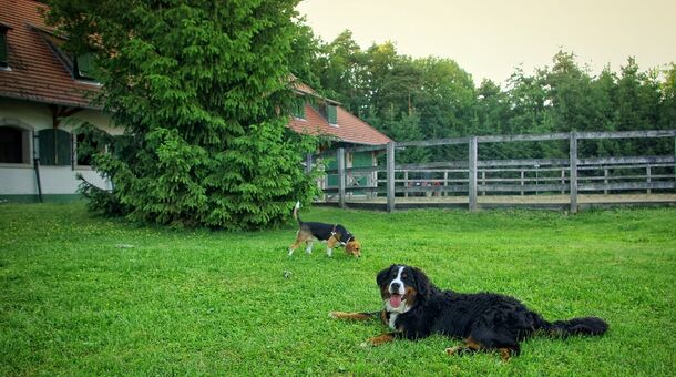 Abbázia Country Club***