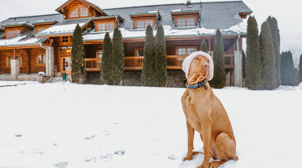 Szent Orbán Erdei Wellness Hotel és Residence