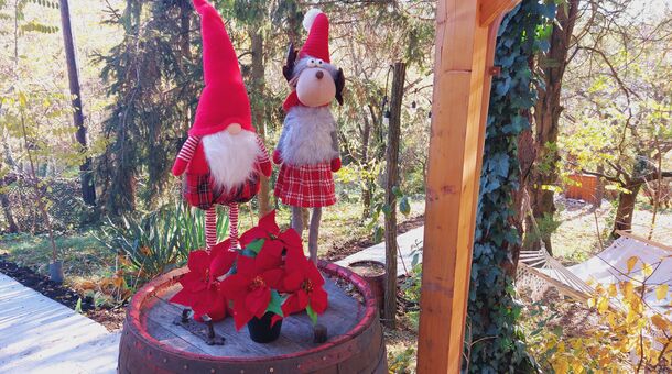 Chillinn Eger Cottages