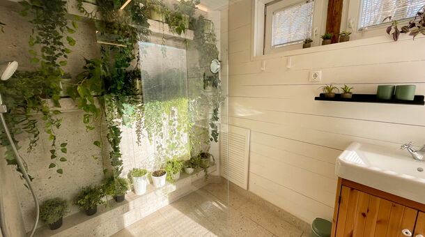 Erdei Kisház Noszvaj