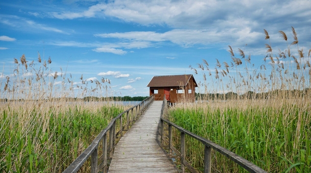 Boró Apartman