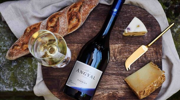 Angyal Borászat és Szőlőbirtok