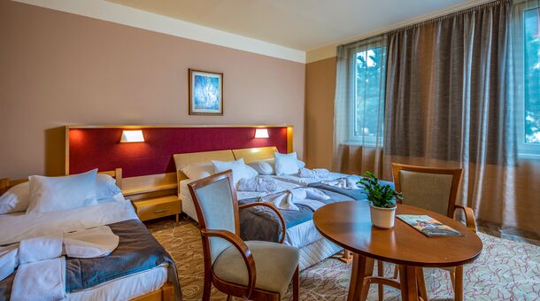 Dráva Hotel Thermal Resort****