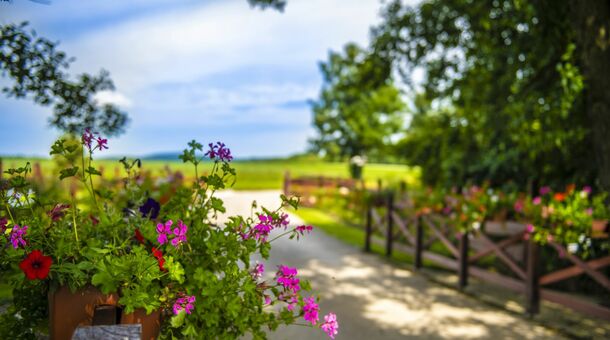 Szarvaskút Vendégházak +16