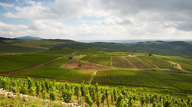 Hotel Csillag Tokaj***