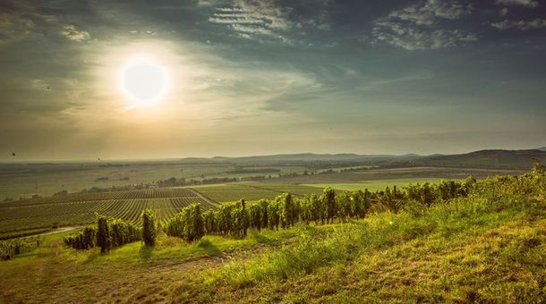 Mercure Tokaj Center****