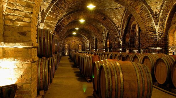 Hotel Villa Völgy****