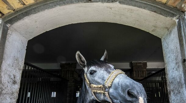 Hotel Kapitány Wellness****superior