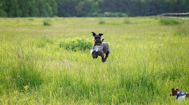 Abbázia Country Club***