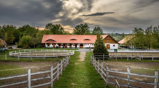 Club Dobogómajor***superior