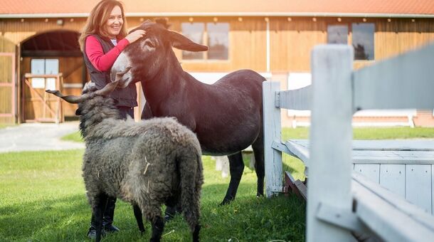 Club Dobogómajor***superior