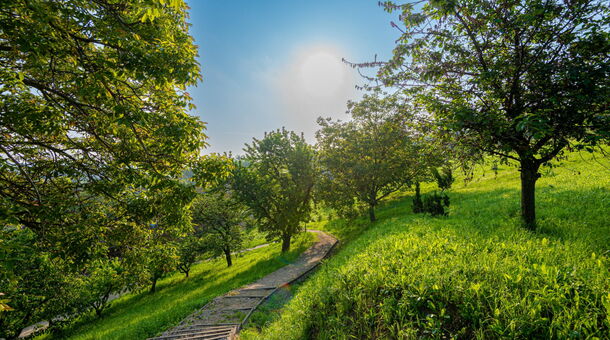 Fried Kastély*** Hotel