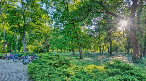 Főnix Wellness Resort****