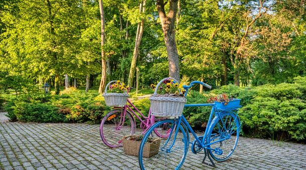 Főnix Wellness Resort****