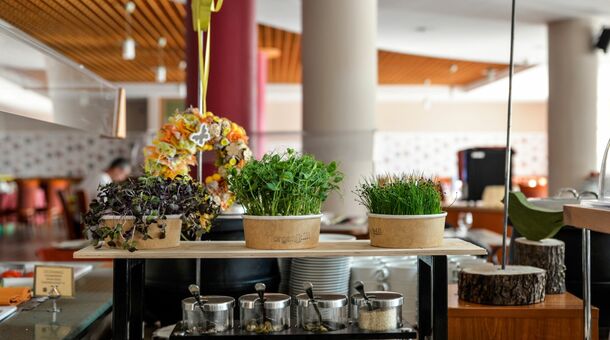 Hunguest Hotel Pelion