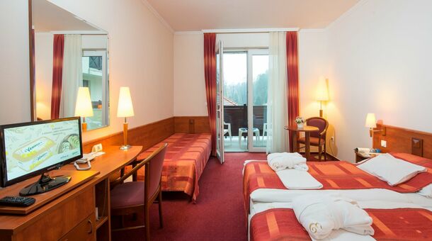 Erzsébet Park Hotel***