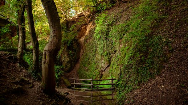 Ambient Hotel & AromaSPA****