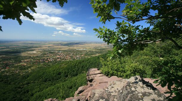 Ambient Hotel & AromaSPA****