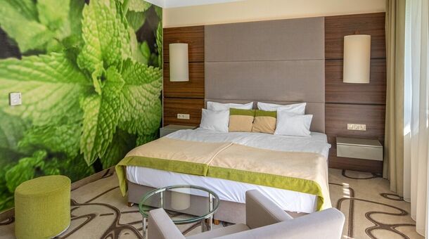 Ambient Hotel & AromaSPA****