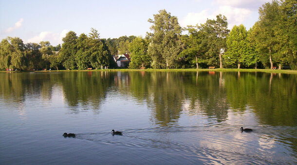 Ambient Hotel & AromaSPA****