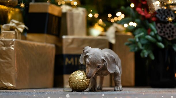 Minaro Hotel Tokaj MGallery*****