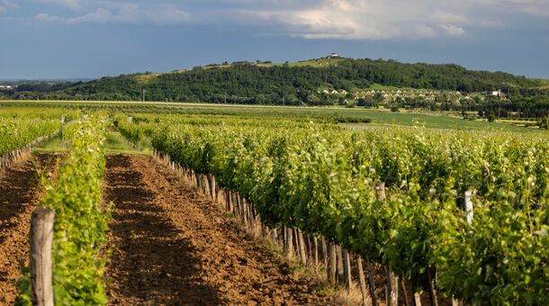 Hotel Kőporos Hercegkút****