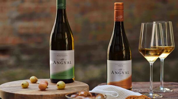 Angyal Borászat és Szőlőbirtok