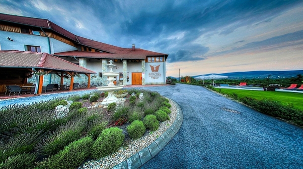 Angyal Borászat és Szőlőbirtok