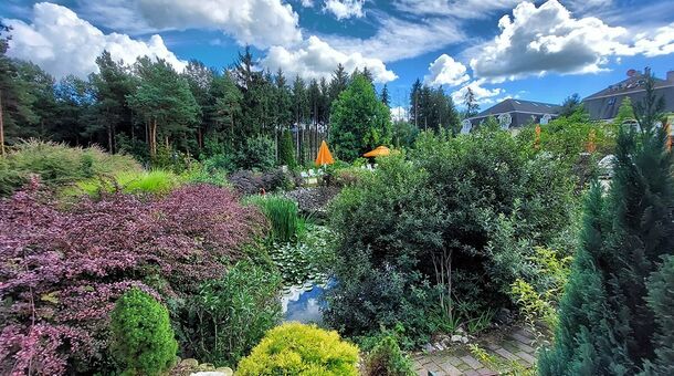 Gosztola Gyöngye - az erdő szállodája