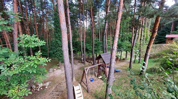 Gosztola Gyöngye - az erdő szállodája