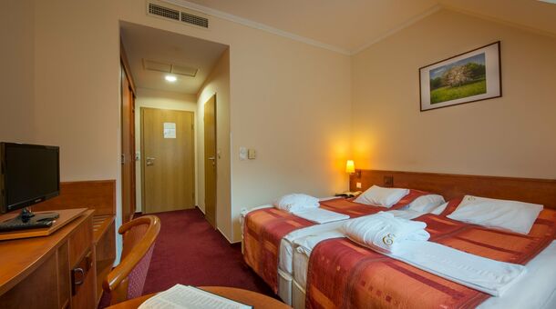 Erzsébet Park Hotel***