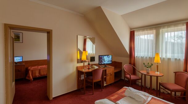 Erzsébet Park Hotel***