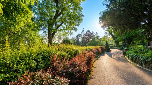 Fried Kastély*** Hotel