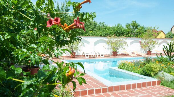 Wellness Hotel Kakadu***superior