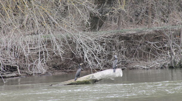 Sziget Hotel Veránka