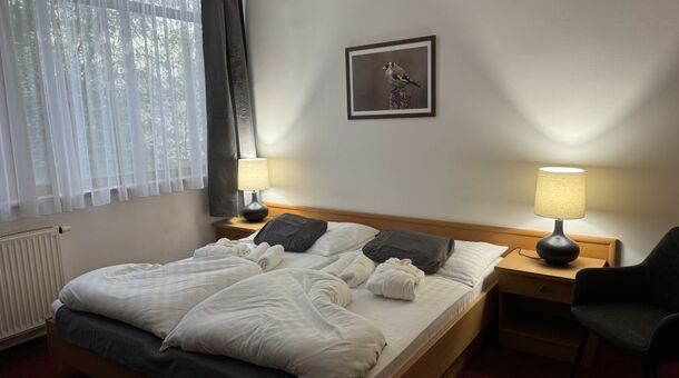 Thermal Hotel Tengelic