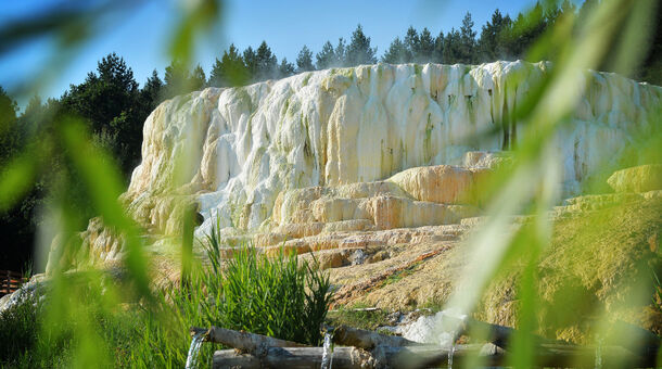 Salt Hill Premium Apartments